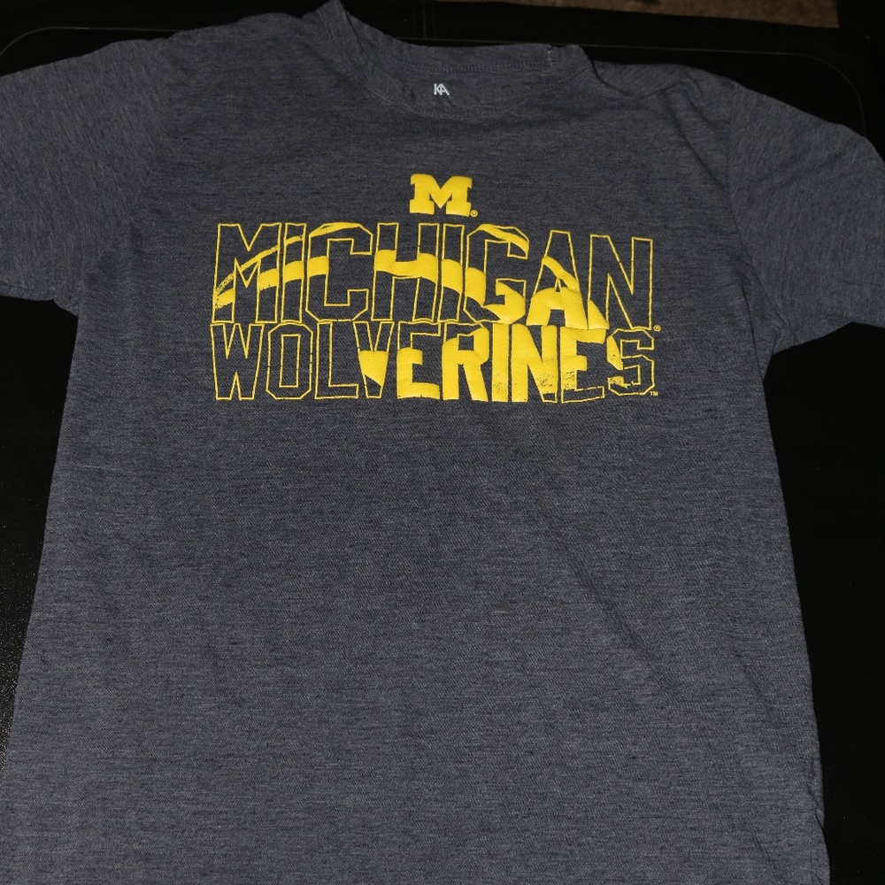 Michigan University Wolverines